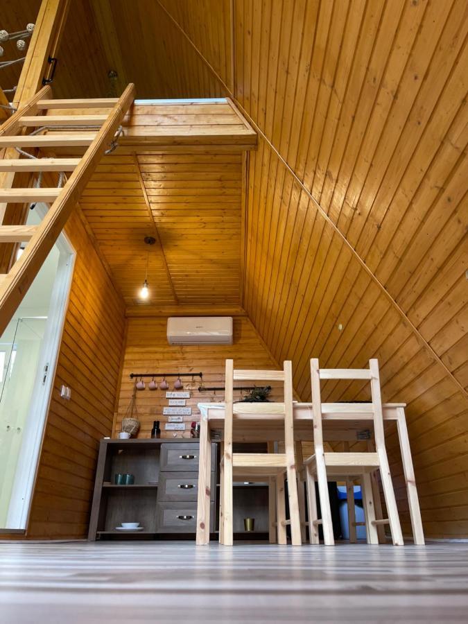 Cabane A-Frame Svinita Exteriör bild