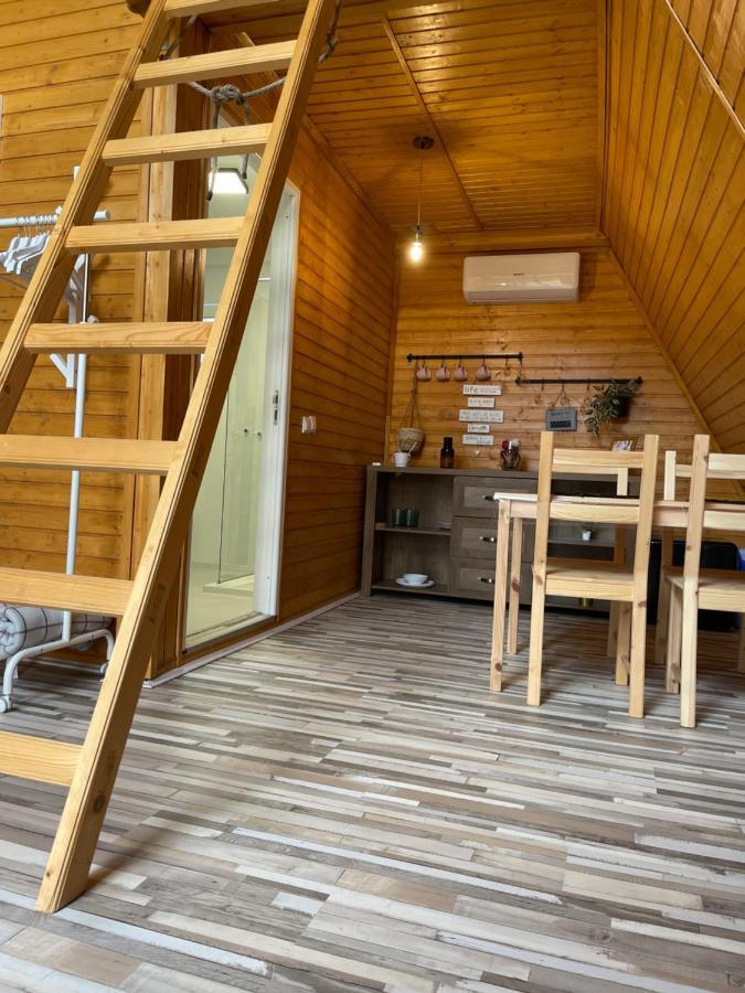 Cabane A-Frame Svinita Exteriör bild