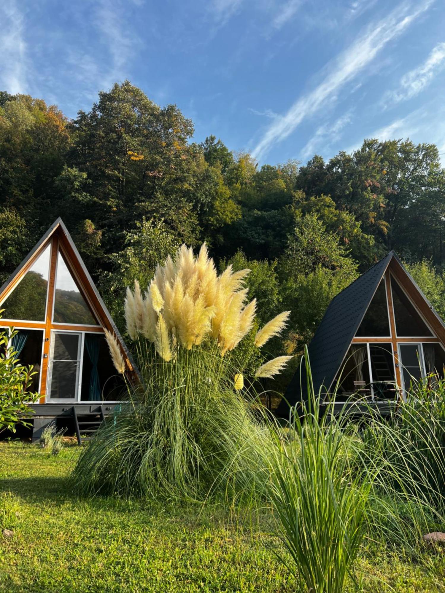 Cabane A-Frame Svinita Exteriör bild