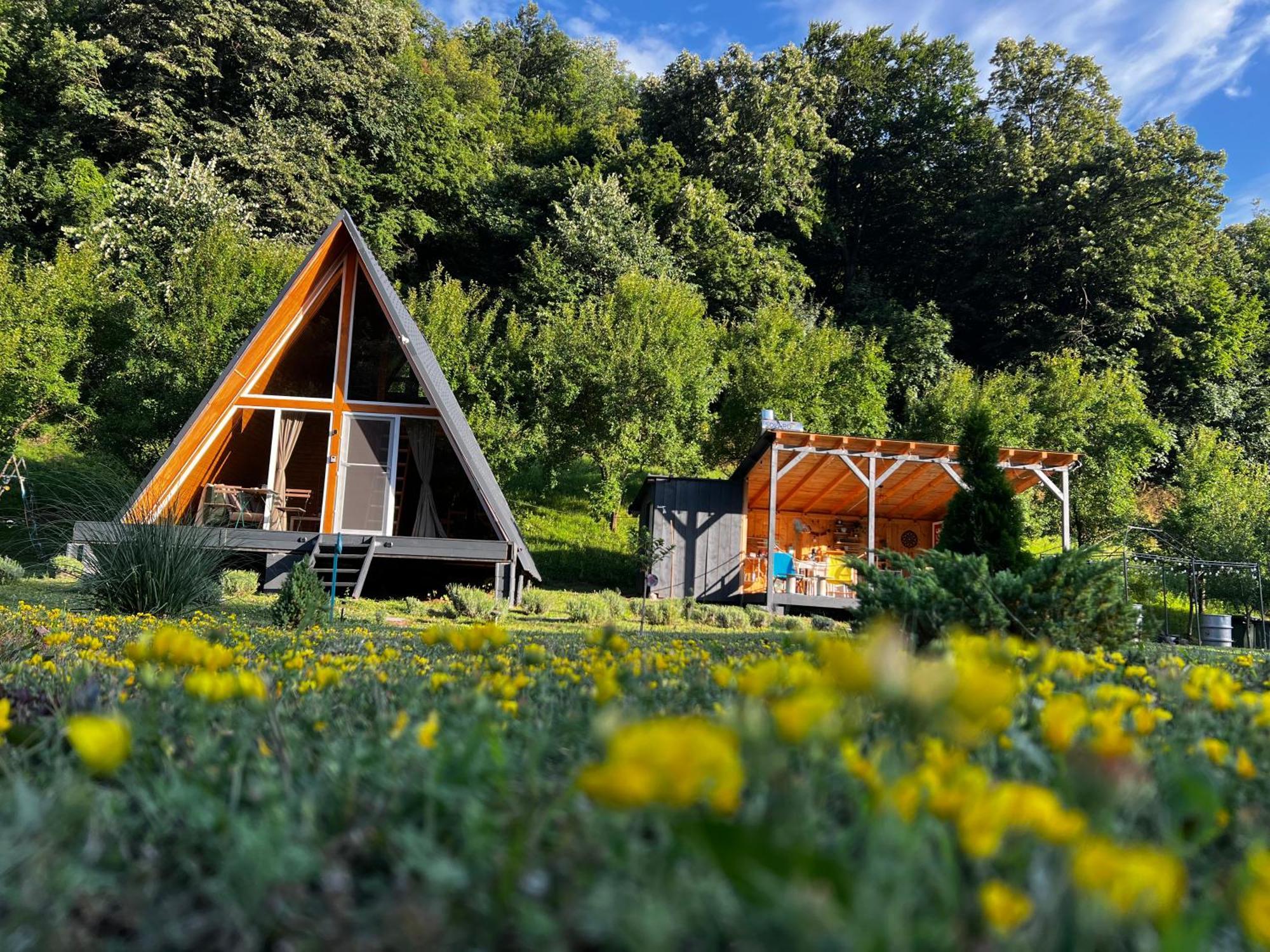 Cabane A-Frame Svinita Exteriör bild